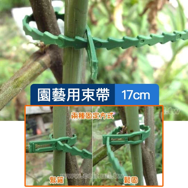 園藝用束帶(17cm)100支裝