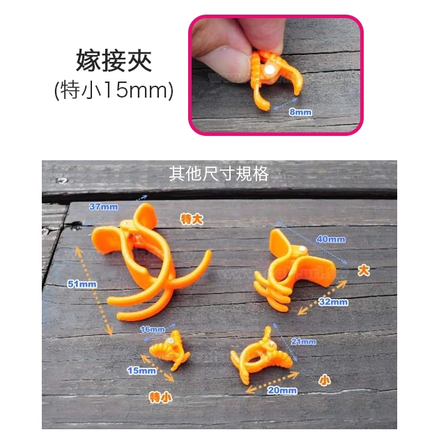 台灣製嫁接夾－特小15mm(藤蔓固定夾)橘色