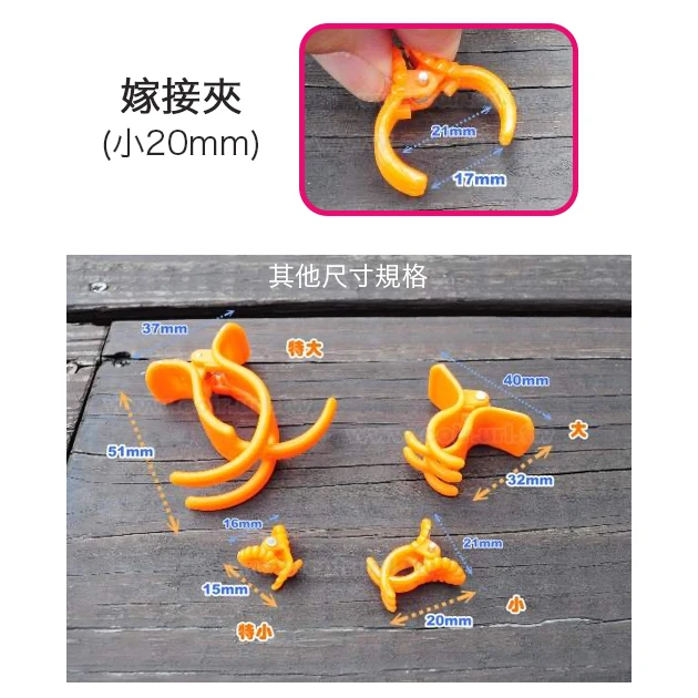 瓜果嫁接夾－小20mm(固定夾)橘色