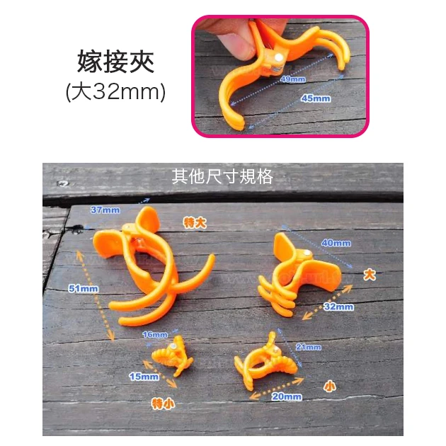 台灣製瓜果嫁接夾－大32mm(藤蔓固定夾)橘色