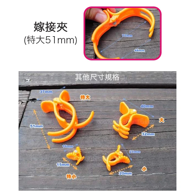 台灣製藤蔓固定夾－特大51mm橘色