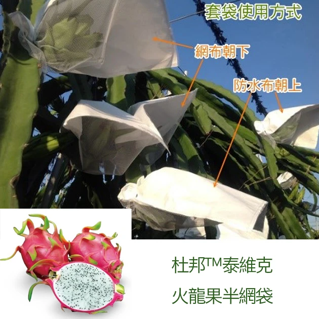 杜邦™泰維克火龍果半網袋、套袋（30x32cm）
