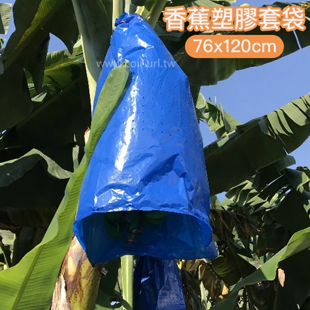 香蕉塑膠套袋（76x120cm）~10張入