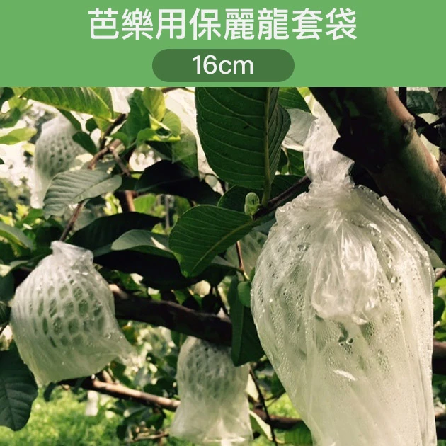芭樂用保麗龍套袋/塑膠袋（16cm）