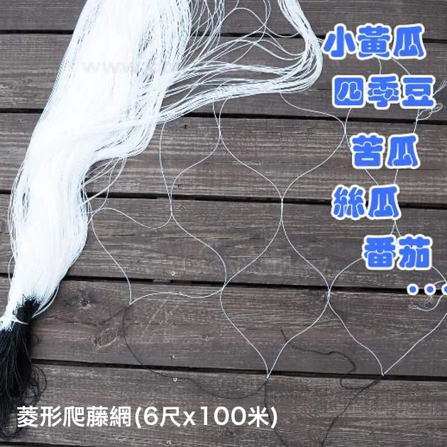 菱形爬藤網(6尺x100米)6寸孔目攀藤網