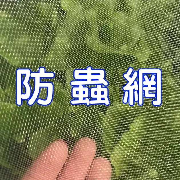 32目防蟲網、木瓜網-白色