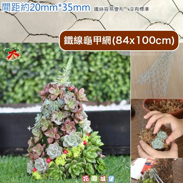 鐵線龜甲網