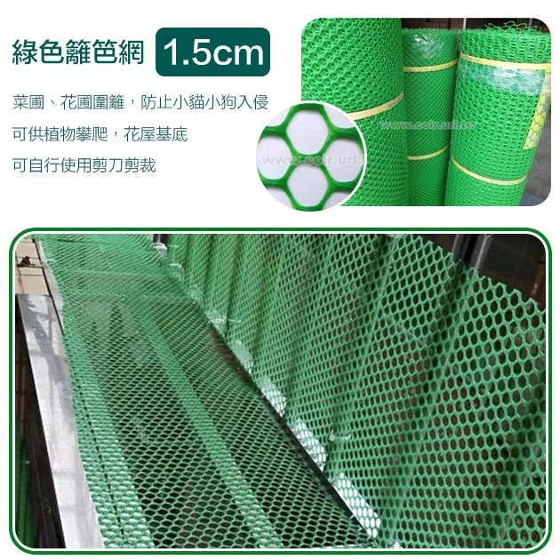 1.5cm孔目籬笆網/龜甲網-青綠色