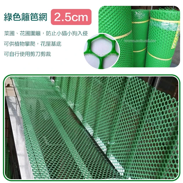 2.5cm孔目籬笆網-青綠色