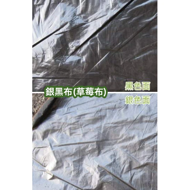 銀黑布(草莓布地膜防草布)(整捲長400公尺)