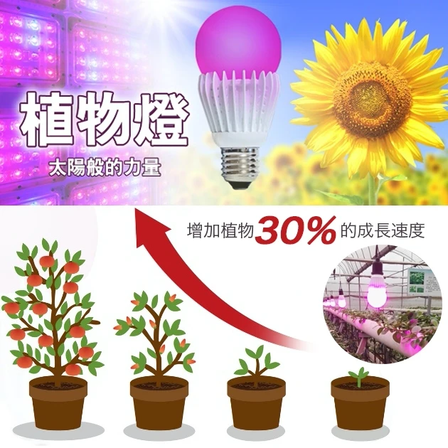 LED燈泡型~植物栽培燈(生長專用)11Ｗ紅藍