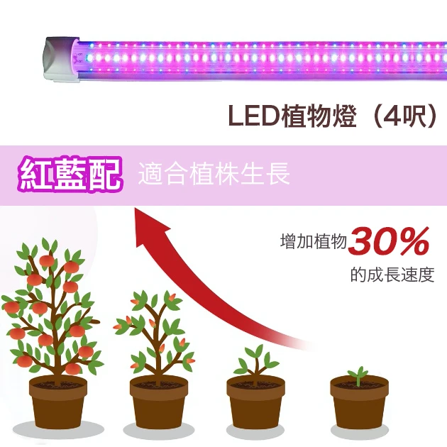 T8-LED燈管型~植物栽培燈(生長專用)20Ｗ紅藍