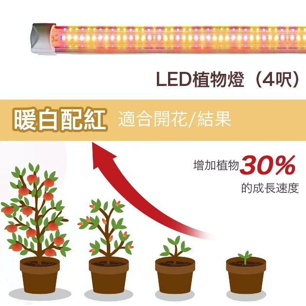T8-LED燈管型~植物栽培燈(開花結果專用)20Ｗ白紅