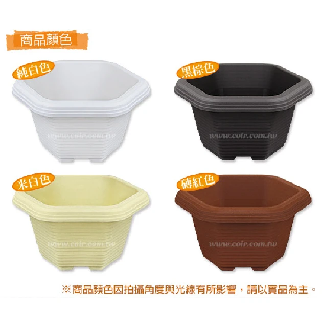 六角淺盆(9.6cm)小 高5cm