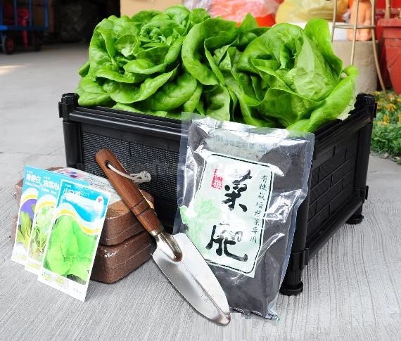 蔬菜栽培組合(D01組合種植箱1個+小椰磚2個+菜肥1包+木柄花鏟(大)8.5cm)