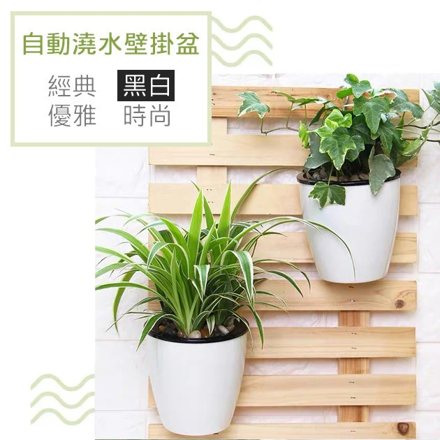 自動澆水壁掛花盆18cm（附棉繩）