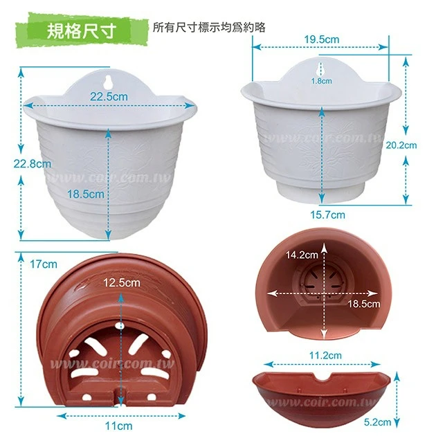 大A掛壁盆22.5cm 含儲水盒