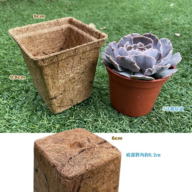 9cm方型環保椰纖花盆 方盆