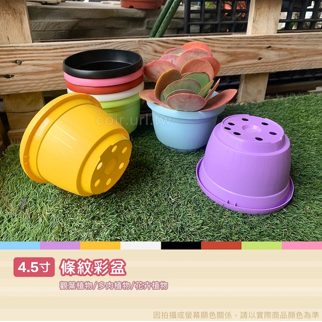 條紋4.5寸花盆-粉彩系列