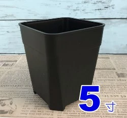 加高透氣四方盆「5寸」
