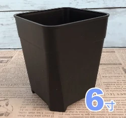 加高透氣四方盆「6寸」