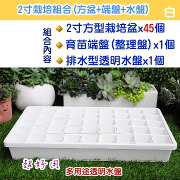 【超值組】整理端盤+透明水盤+2寸方盆x45 育苗栽培組合