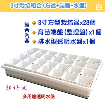 【超值組】整理端盤+透明水盤+3寸方盆育苗栽培組合
