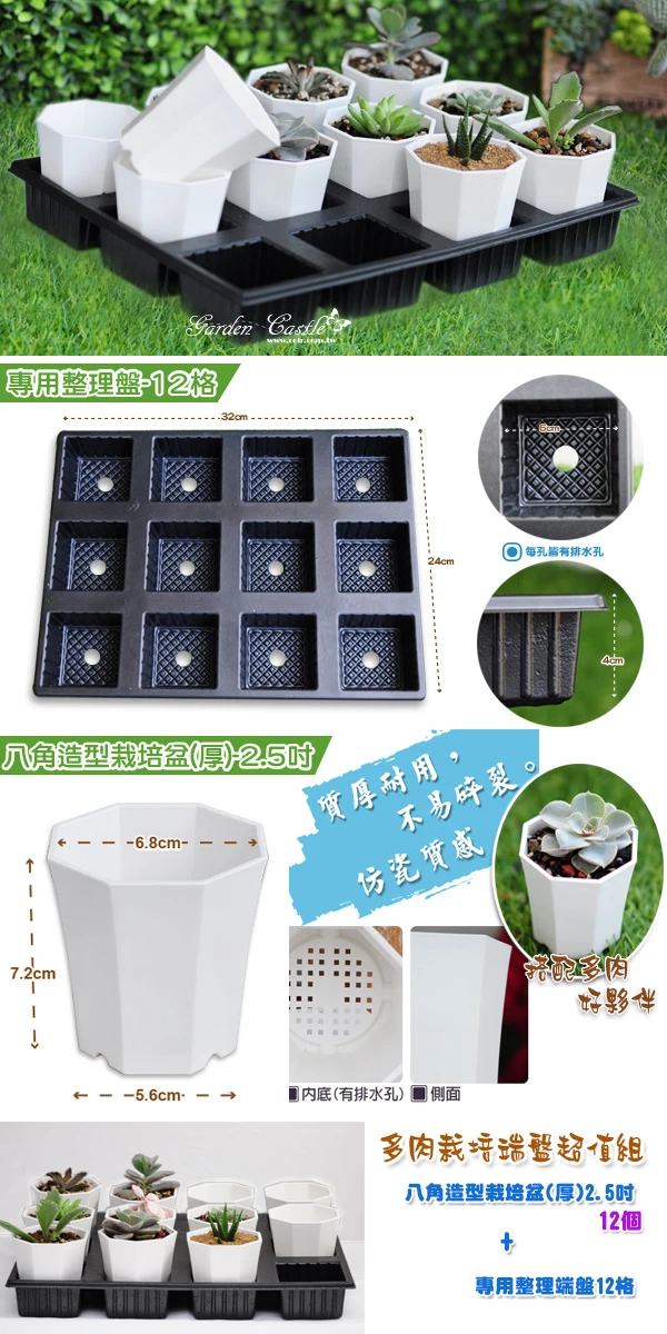 【超值組】八角造型栽培盆(厚)-2.5寸x12個+專用整理端盤12格