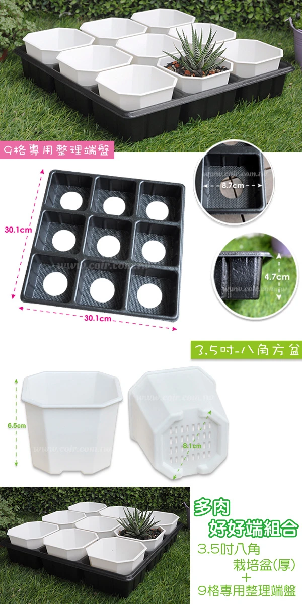 【超值組】9個x3.5寸八角方盆(厚)+專用整理端盤9格