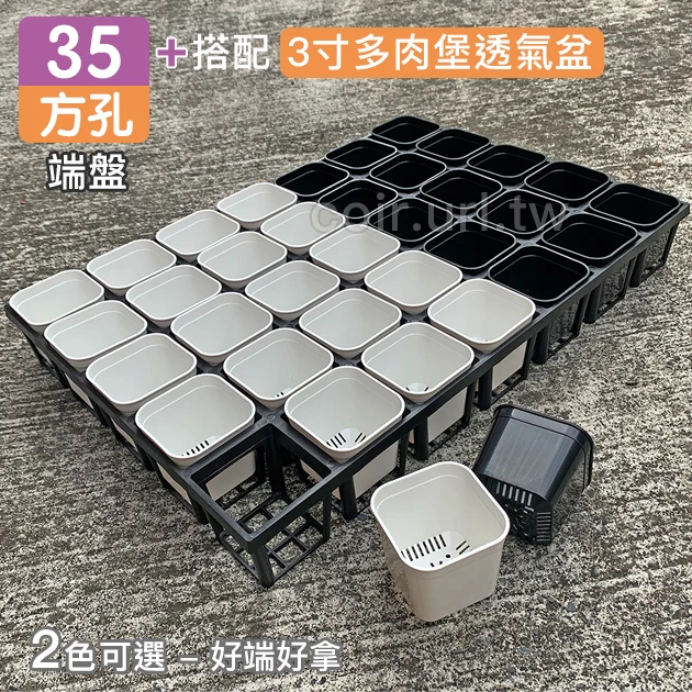 【超值組】35個x多肉堡透氣四方盆「3寸」＋35方孔端盤