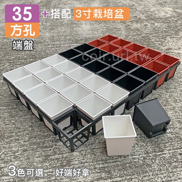 【超值組】35個x3寸方型栽培盆(厚)＋35方孔端盤