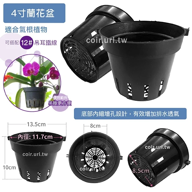 4寸蘭花盆(透氣黑吊耳盆)洋蘭盆