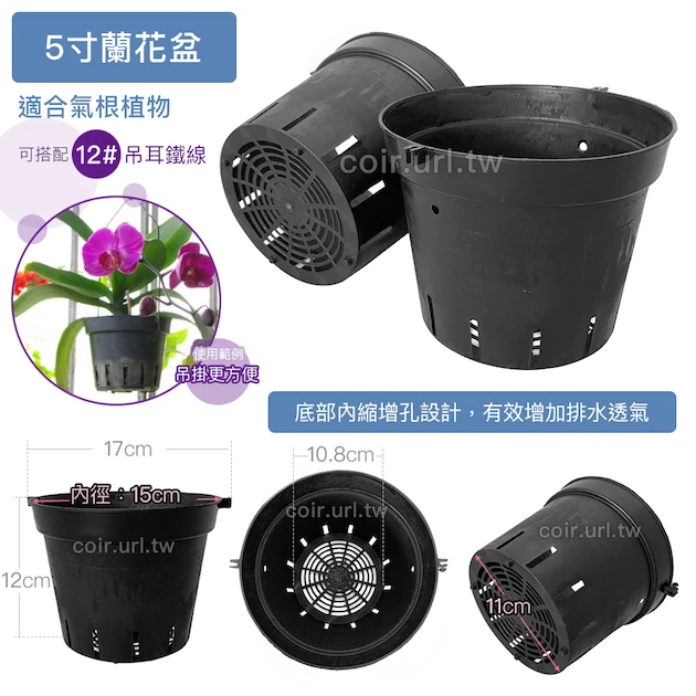 5寸蘭花盆(透氣黑吊耳盆)洋蘭盆