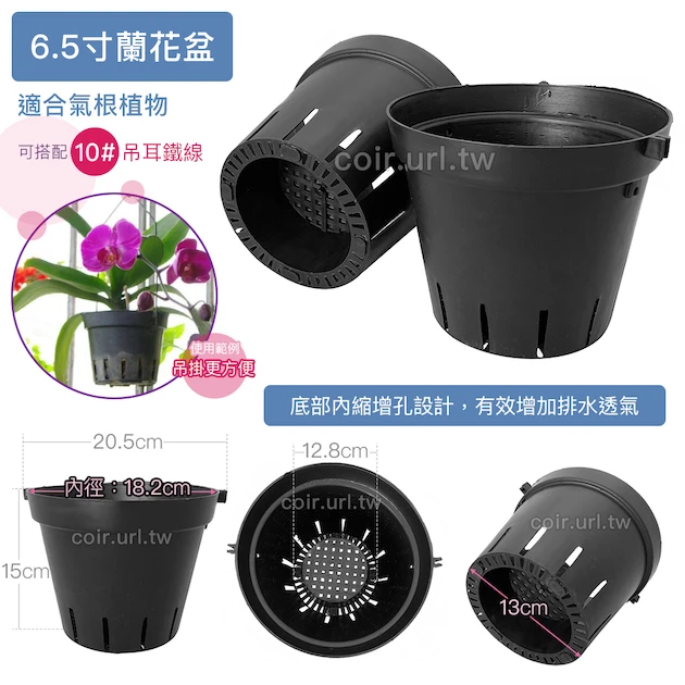 6.5寸蘭花盆(黑吊耳盆)
