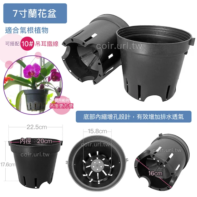 7寸蘭花盆(黑吊耳盆)