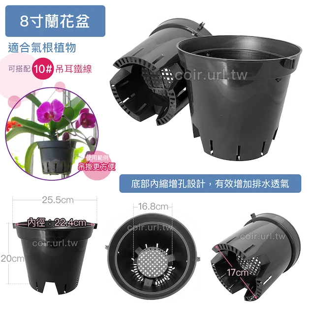 8寸蘭花盆(黑吊耳盆)