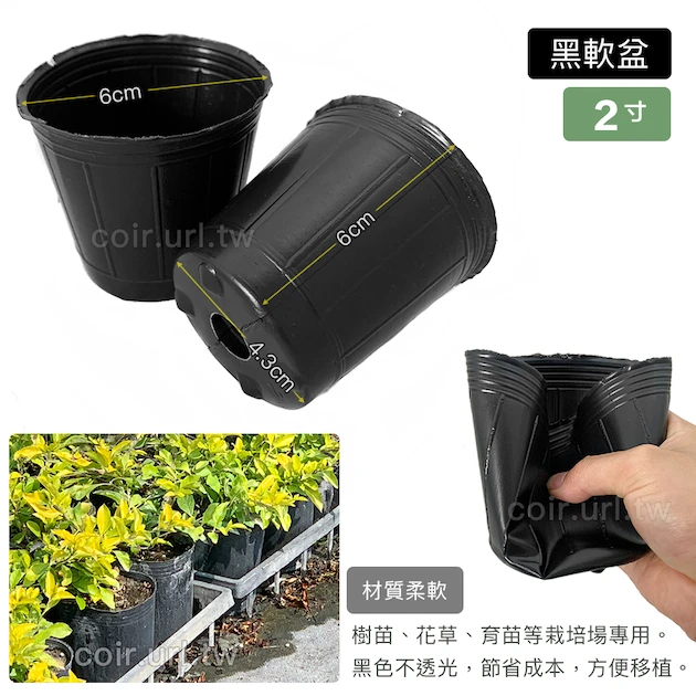 2寸栽培育苗軟盆D5.5xH6cm(黑)100個/組