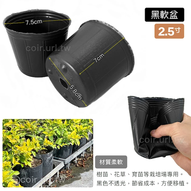 2.5寸栽培育苗軟盆D7xH7cm(黑)
