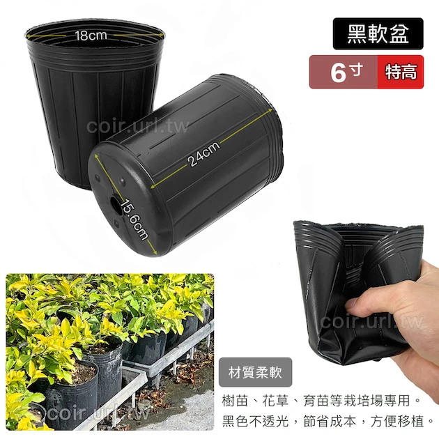 6寸黑軟盆D18cm(特高型24cm)30個/組