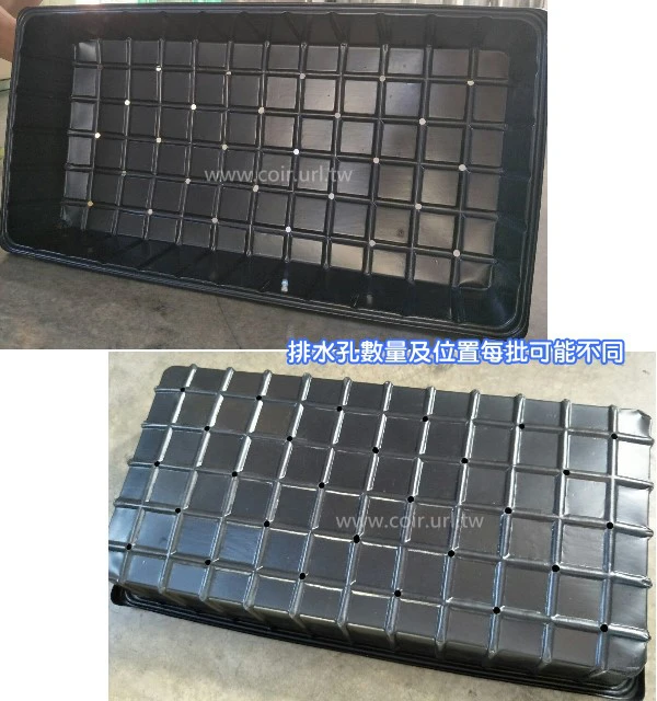 透明蓋育苗箱(有洞)加高16cm 育苗悶箱