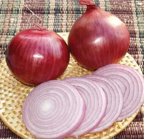 美國美樂洋蔥(紅/紫皮)種子（Allium cepa）