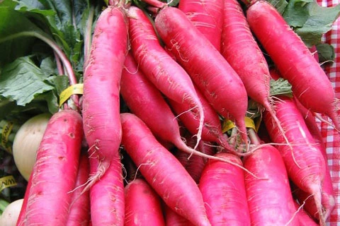 粉紅冰柱蘿蔔種子(Pink Summercicle Radish)