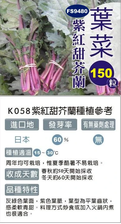紫紅甜芥蘭菜種子(紅芥藍)（約150粒）