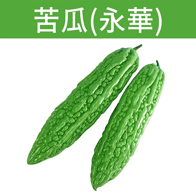 苦瓜種子「永華」Balsam Pear