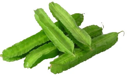 四角豆種子(翼豆、楊桃豆)Four Angled Bean
