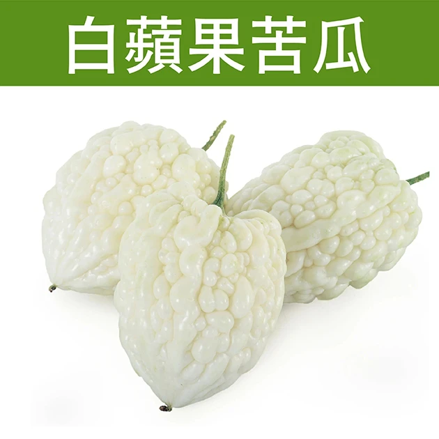 白蘋果苦瓜種子「農友3023」Balsam Pear