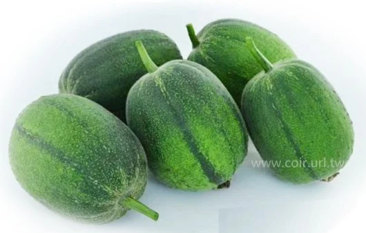 蘋果絲瓜(蘋果菜瓜)種子