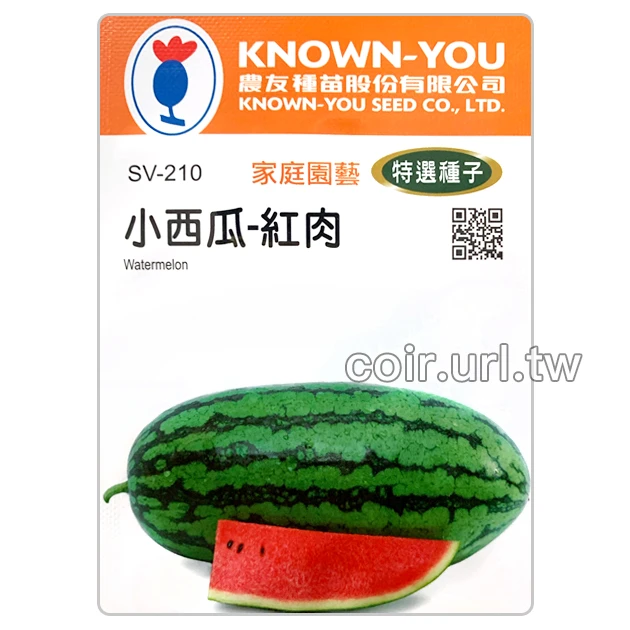 小西瓜-紅肉種子 Watermelon