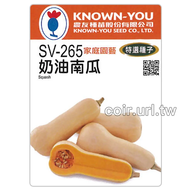 奶油南瓜種子 Squash