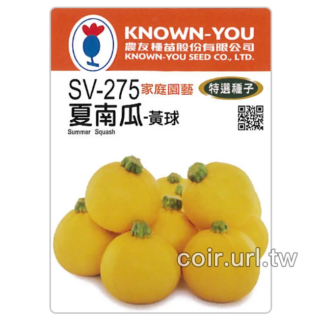 黃球櫛瓜.夏南瓜種子 Summer Squash 節瓜